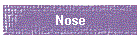 Nose